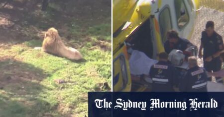 Woman was watching keepers work when lion attacked, Darling Downs Zoo says