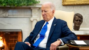 ‘Massive conspiracy’: Ex-DNC insider says party went to great lengths to hide Biden’s mental decline
