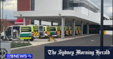 SA ambulance response times, ED capacity in spotlight after man’s death in car crash
