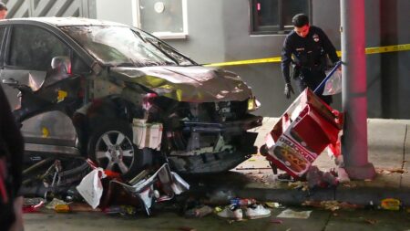 Driver plows through Los Angeles crowd, injuring 30 people