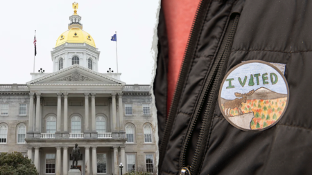 Noncitizen illegally voted in swing state’s 2024 election, authorities say