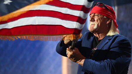 Hulk Hogan is ‘woven into the fabric of Americana,’ pro wrestling star Aron Stevens says