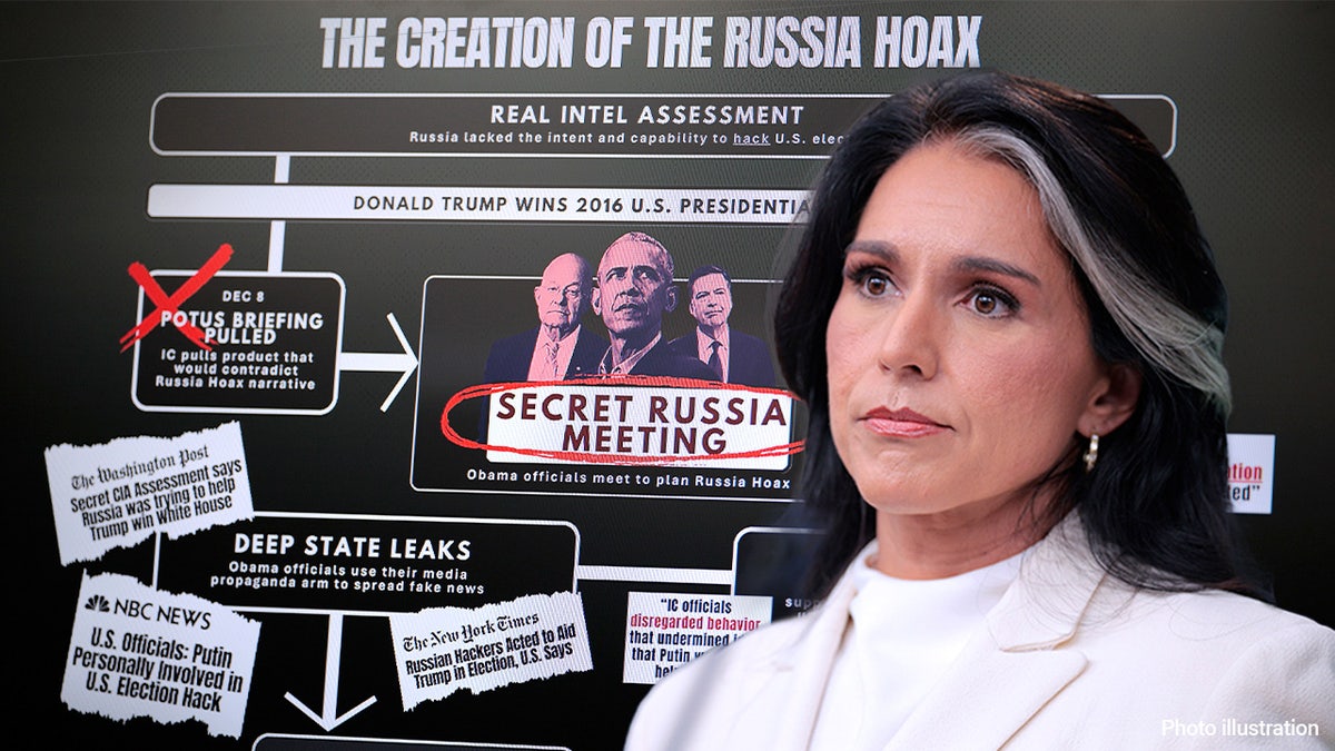 DNI Tulsi Gabbard closeup