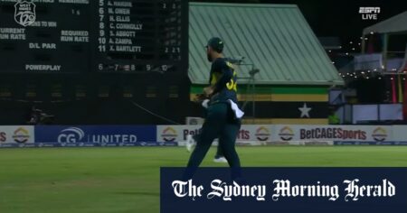 Maxwell’s casual one-handed catch