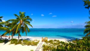 Unprecedented violence rocks tropical paradise as brutal nightclub attack leaves multiple dead