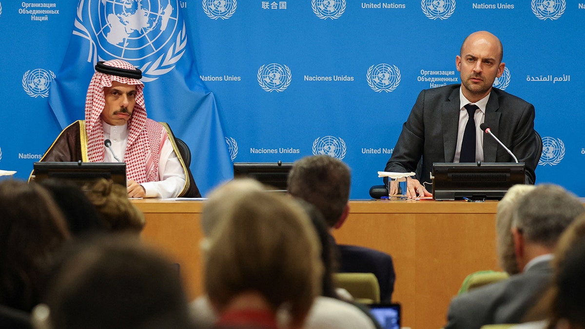 Saudi Arabia and France co-chair UN conference