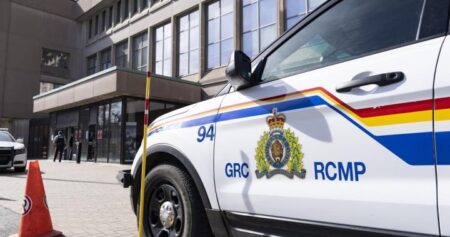 Man with al-Qaida ties expected to plead guilty to terrorism, says lawyer