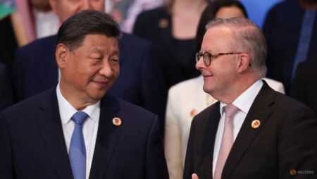 ‘Dialogue’ must be at heart of China, Australia ties, Albanese tells Xi