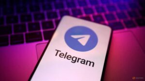 Rights groups urge Nepal to reverse Telegram ban