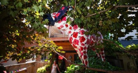 When moose took over Toronto: Artists reflect on city art project, 25 years later