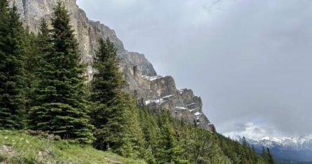 Dogs, crews and helicopters deployed to find missing B.C. hiker in Banff