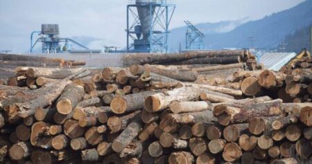A trade deal with the U.S. could include lumber quotas, Carney says