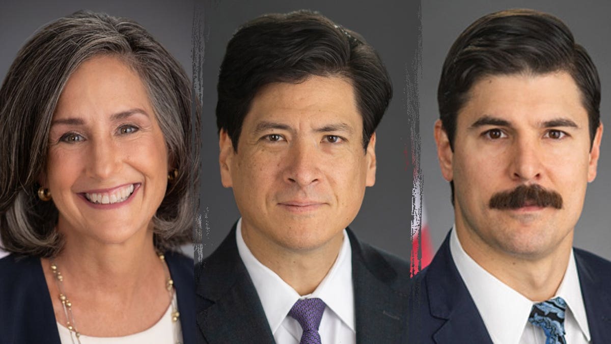 CPSC board members Mary Boyle, Alexander Hoehn-Saric, and Richard Trumka Jr. are seen in this three-way split image. Photos via AP News/Getty Images