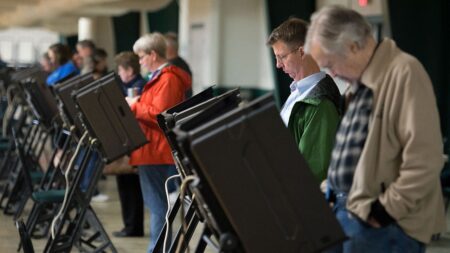 Texas investigates more than 100 potential noncitizens who allegedly cast illegal ballots