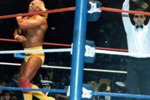‘He was the catalyst’: Toronto referee remembers Hulk Hogan, the man behind the myth