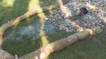 Southern Alberta homeowner concerned over pooled water near his home