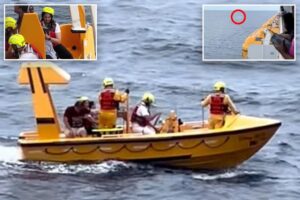 Disney cruise passenger recalls ‘loud’ sounds they heard when young girl fell off ship before hero dad dove in to save her