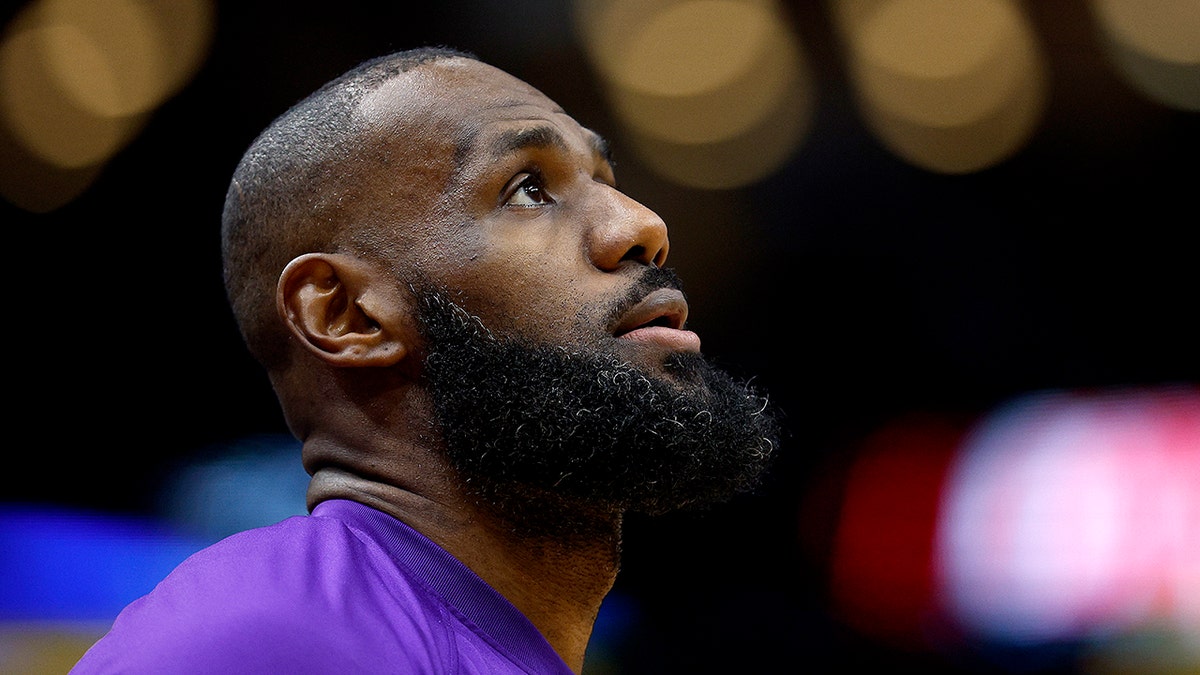 LeBron James looks on