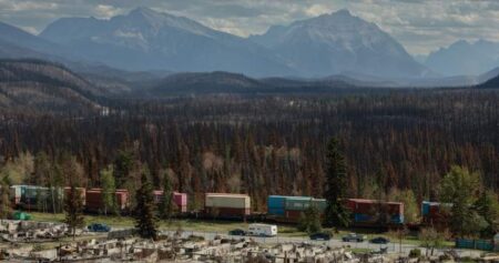 Jasper’s slow rebuild one year after wildfire is a ‘full box of emotions’