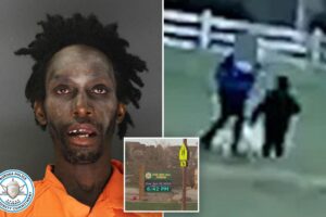 Registered sex offender to walk free after elementary school kidnapping attempt, prosecutors say