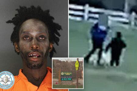 Registered sex offender to walk free after elementary school kidnapping attempt, prosecutors say