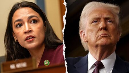 AOC should be sued ‘into bankruptcy’ over latest attack on Trump, stunned critics seethe