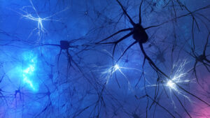 Parkinson’s Disease: “Brake” May Halt Cell Death in Some Patients