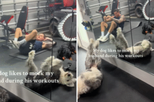 Dog Keeps Owner Company During Workouts—Hysterics at What He Learns