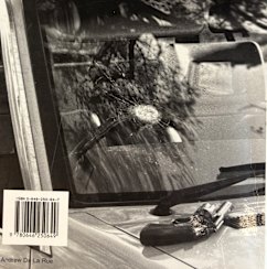 Sherwell fired two shots at the bandit. One hit the police car. This picture was the back cover of Silent War.