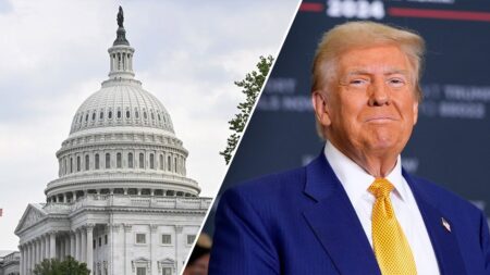 Trump rides major wave of momentum going into July Fourth after Iran, BBB, Supreme Court and lawsuit victories