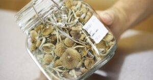 Federal court ruling on psilocybin training a turning point: advocacy group