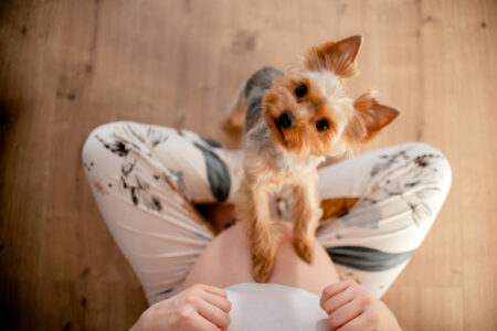 Pregnant Woman Films Dog Cuddling Her Bump—Tears Over What Follows