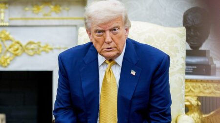 Republicans fixated on Epstein are getting ‘duped’ by Democrats, Trump insists