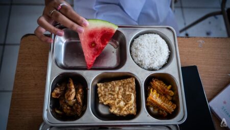 6 months on, is Prabowo’s free meals programme living up to its lofty promises?