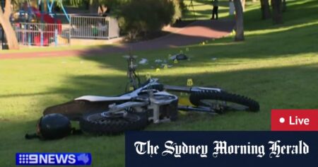 Teen behind bars after woman mowed down, killed while walking dog in Perth park