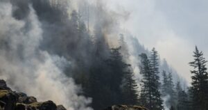 Canada’s wildfire smoke ‘suffocating,’ needs ‘better’ management: U.S. reps