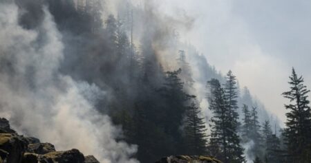 Canada’s wildfire smoke ‘suffocating,’ needs ‘better’ management: U.S. reps