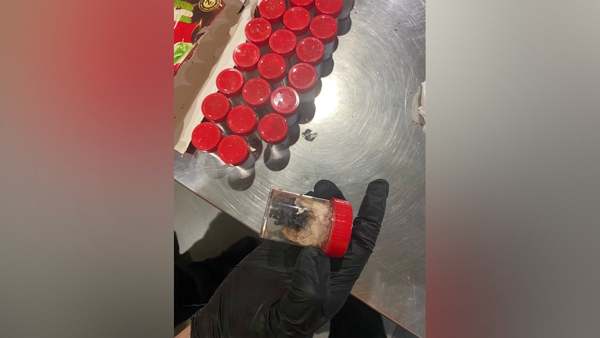 German customs officers recently made a skin-crawling discovery when they found around 1,500 young tarantulas concealed in a shipment of spongecakes.