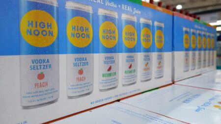 High Noon Recalls Alcoholic Drinks Mislabeled as Celsius. What to Do if You Were Impacted