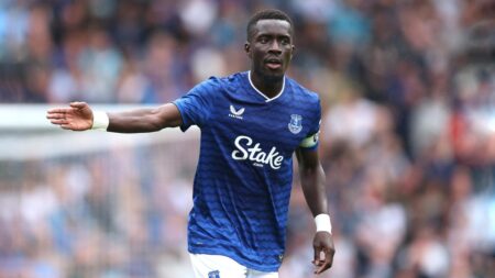 Premier League Summer Series: Stream Everton vs. Bournemouth From Anywhere