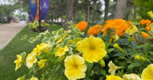 Hidden Treasures: Saskatchewan’s Government House, the Edwardian Gardens