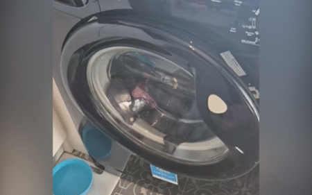 Woman ‘Panicked’ Cat Was Trapped in Washer, Then She Looked Closer