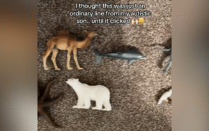 Mom Sees Son Playing With Toy Animals—Then Realizes What’s Really Happening