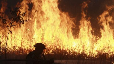 Indonesian police arrest 44 people suspected of starting forest fires