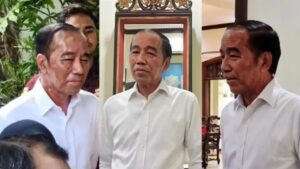 Jokowi faces post-presidency scrutiny: From skin ailment speculation to fake degree controversy