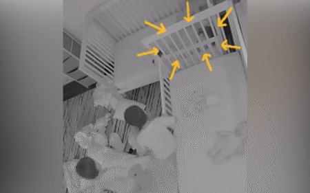 Mom Checks Triplets’ Nap on Baby Cam, Then Notices What’s in the Corner