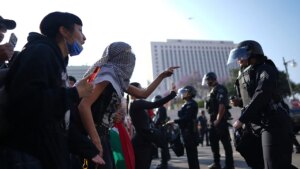 Immigration expert sounds alarm on how Biden’s border crisis paved way for Los Angeles riots