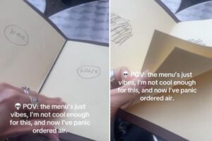 Woman bamboozled by odd restaurant menu: ‘Minimalist menu, mistake, or millennial confusion??’