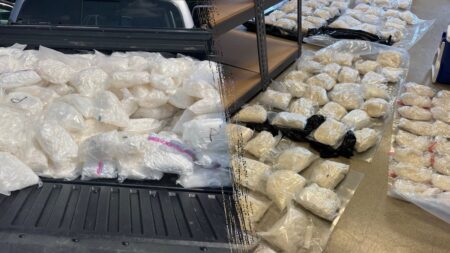 Massive haul of methamphetamine seized in one of Minnesota’s ‘largest meth busts’ ever