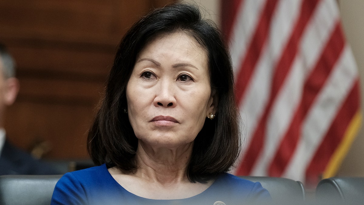 Michelle steel at hearing